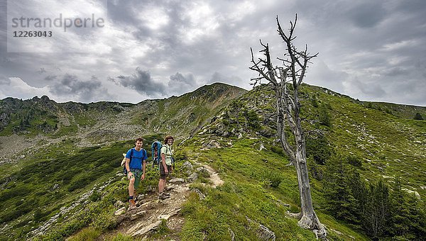 Wanderer stehen bei einem vertrockneten Baum  Schladminger Höhenweg  Schladminger Tauern  Schladming  Steiermark  Österreich  Europa