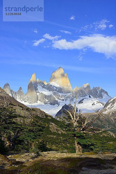 Bergkette mit Cerro Fitz Roy  Nationalpark Los Glaciares  El Chaltén  Provinz Santa Cruz  Patagonien  Argentinien  Südamerika