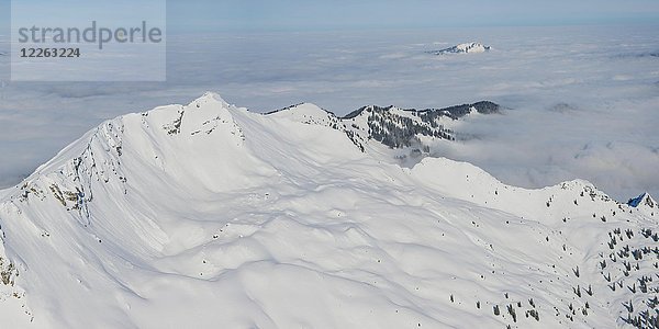 Panorama im Winter  schneebedeckte Berge über der Wolkendecke  Nebelhorn  2224m  Rubihorn  1957m und Grünten  1783m  Allgäuer Alpen  Allgäu  Bayern  Deutschland  Europa
