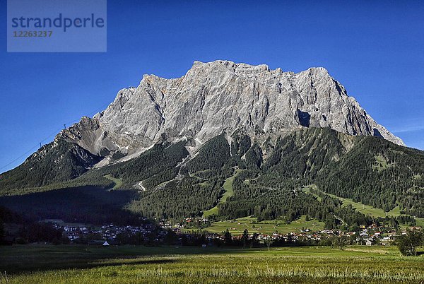 Sommerwiese mit Zugspitze bei Leermoos  Tirol  Österreich  Europa