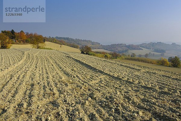 Abgeerntete Felder im Herbst  in der Nähe von Montechiaro d'Asti  Monferrato  Piemont  Italien  Europa