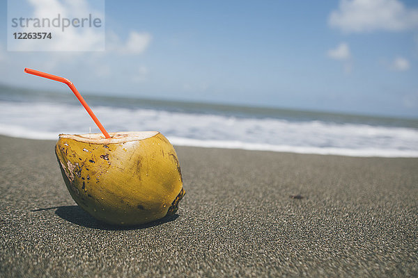 Kuba  Kokosnuss mit Stroh am Strand