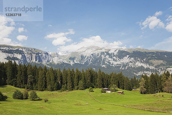 Schweiz  Graubünden  Bündner Alpen  Alpweiden und Alpenblick in der Region Flims