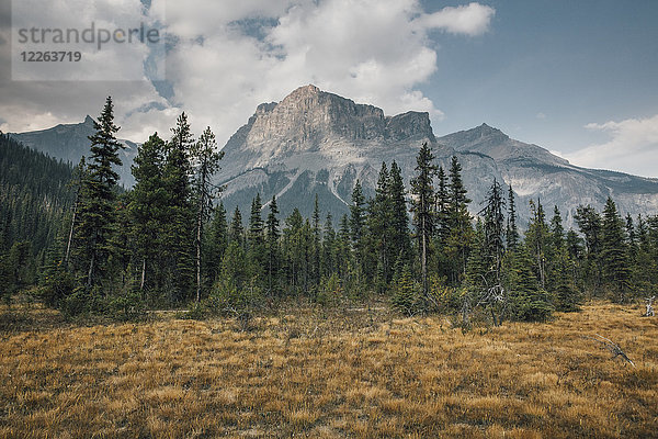 Kanada  British Columbia  Columbia-Shuswap A  Rocky Mountains  Michael Peak  Yoho Nationalpark