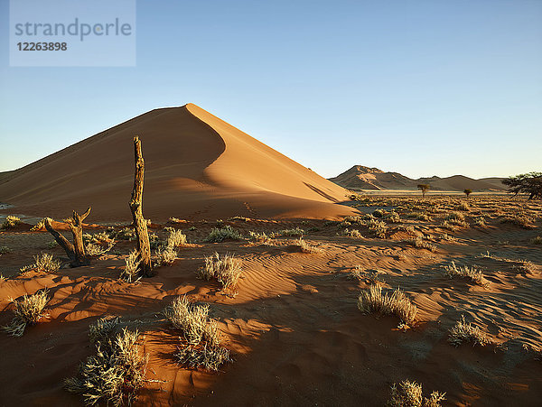 Afrika  Namibia  Namib-Naukluft Nationalpark  Namibwüste  Wüstendünen