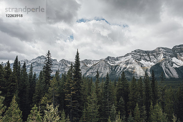 Kanada  Alberta  Banff Nationalpark  Tal der Zehn Zinnen  Rocky Mountains