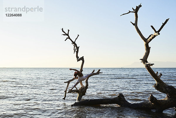 Junge Frau beim Yoga an einem umgestürzten Baum im Meer