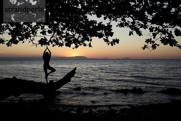 Junge Frau praktiziert Yoga auf einem umgestürzten Baum im Meer bei Sonnenuntergang.
