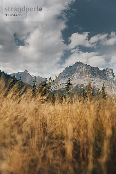 Kanada  British Columbia  Columbia-Shuswap A  Rocky Mountains  Michael Peak  Yoho Nationalpark