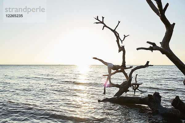 Junge Frau praktiziert Yoga auf einem umgestürzten Baum im Meer bei Sonnenuntergang.