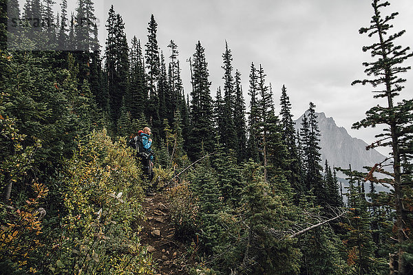 Kanada  British Columbia  Yoho Nationalpark  Wanderer auf dem Weg zum Mount Burgess