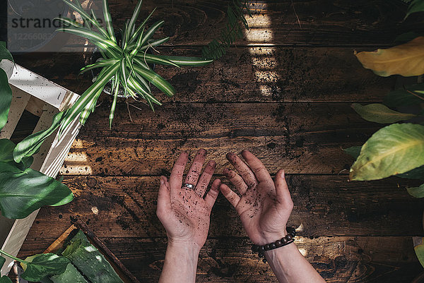 Frau mit Pflanzen  die ihre Hände voller Erde zeigen.