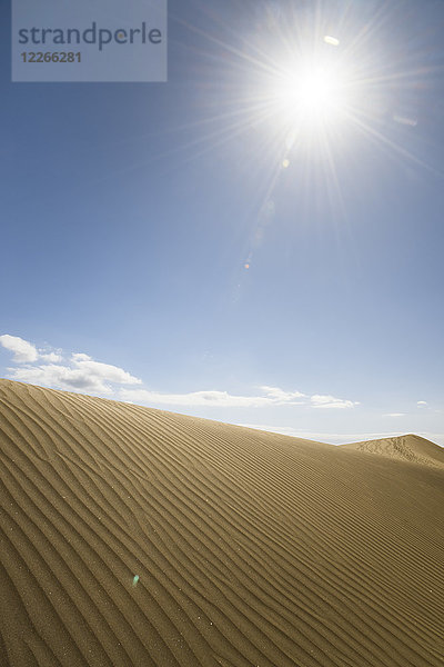 Spanien  Kanarische Inseln  Gran Canaria  Sanddüne in Maspalomas