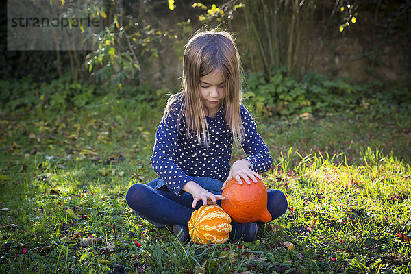 Kleines Mädchen sitzt im Herbst auf der Wiese und spielt mit Kürbissen.