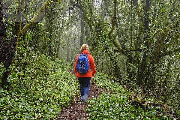 Spanien  Kanarische Inseln  La Gomera  Frau beim Wandern durch den Nebelwald im Nationalpark Garajonay