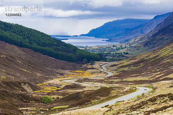 Großbritannien  Schottland  Highland  Glen Docherty Valley  A832 Straße  Loch Maree