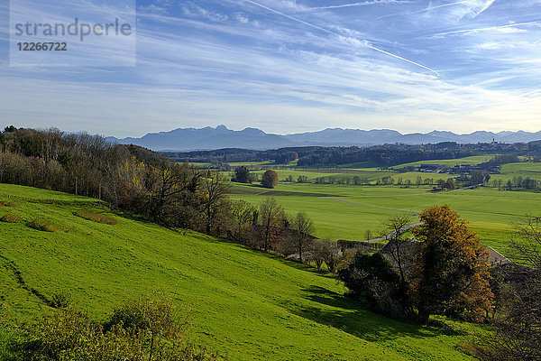 Deutschland  Bayern  Oberbayern  Blick von Jakobsbaiern  Glonntal  Baiern  Antholing  Alpen im Hintergrund