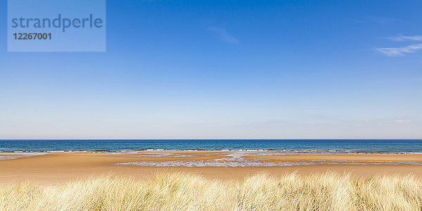 Vereinigtes Königreich  Schottland  Ostküste  Brora  Nordsee  Strand