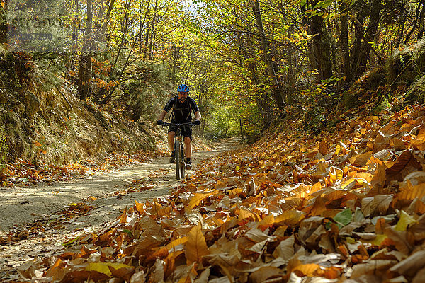 Italien  Ligurien  Finale Ligure  Mountainbiker an der Schlucht im Herbst