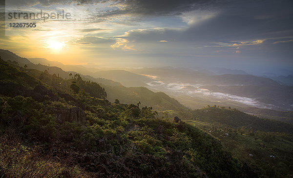 Sri Lanka  bei Hatton  Sonnenaufgang