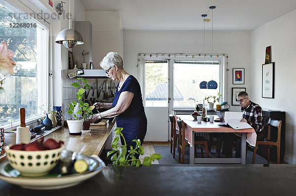 Seitenansicht der Seniorin beim Gießen von Topfpflanzen auf der Küchentheke zu Hause