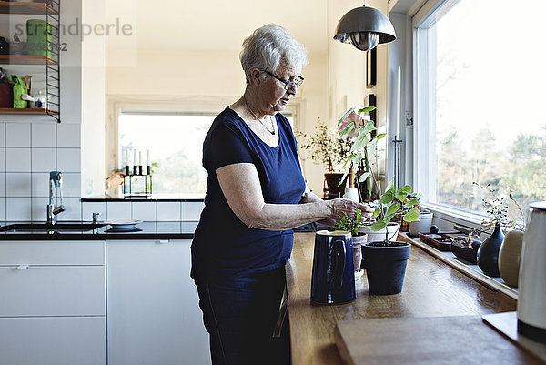 Seniorin im Ruhestand steht bei Topfpflanzen auf der Küchenzeile zu Hause