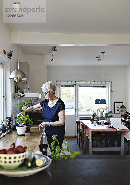 Seniorin im Ruhestand beim Gießen von Topfpflanzen auf der Küchentheke zu Hause