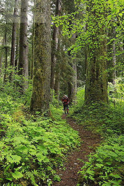 Wanderer im Hoh-Regenwald  Bundesstaat Washington  USA