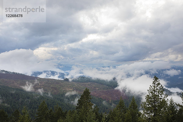 Großartige Aussicht vom Pickett Butte Fire Lookout bei Tiller Oregon  USA