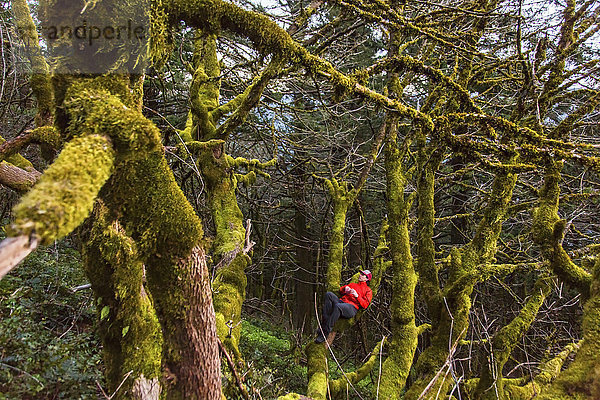 Junger Mann entspannt sich auf einem moosbewachsenen Baum in der Nähe der Columbia Gorge  Washington  USA