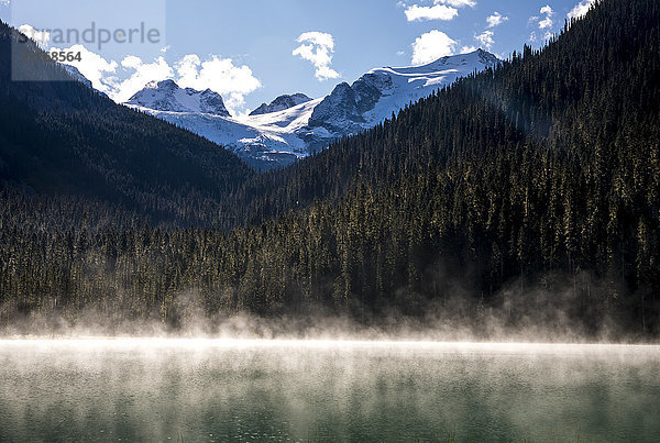 Aufsteigender Nebel am Lower Joffre Lake  Berge mit Wald im Hintergrund  Duffy Lake Provincial Park  Pembreton  British Columbia  Kanada