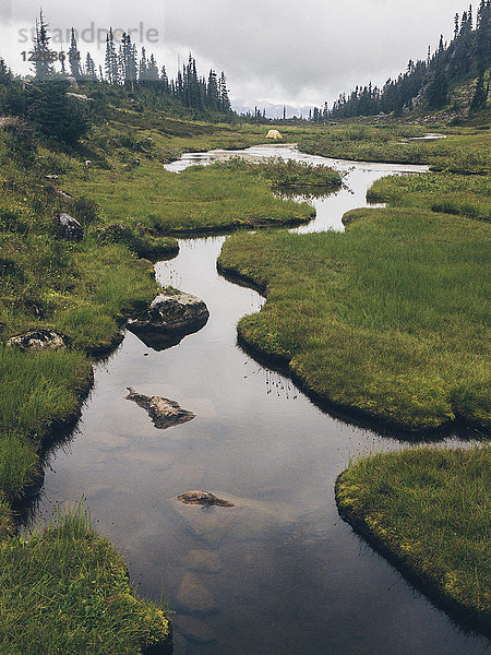 Kleiner Bach  der durch Brandywine Meadows fließt  Whistler  British Columbia  Kanada