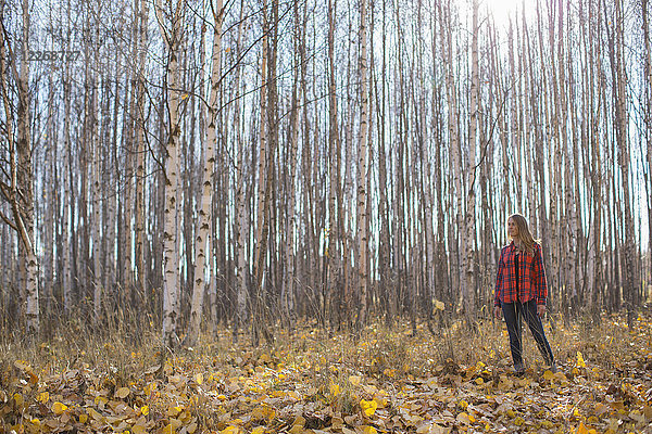 Frau steht in der Nähe von Wald im Herbst  Sandpoint  Idaho  USA