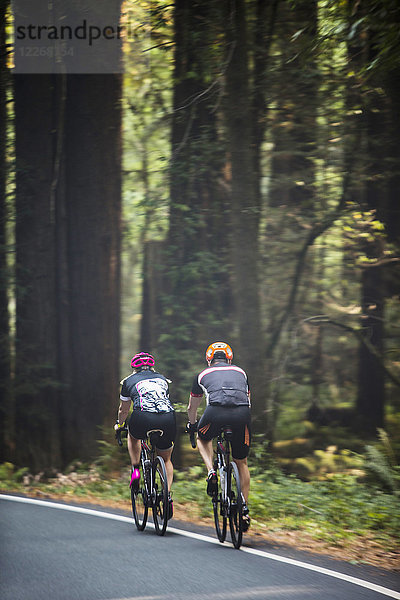 Rückansicht von zwei Radfahrern  die auf einer Straße durch den Wald fahren