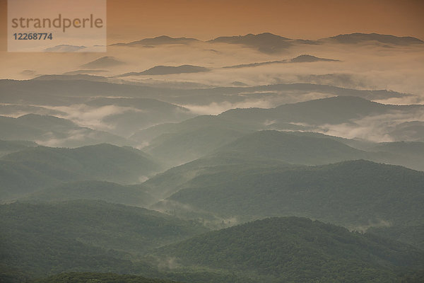 Luftaufnahme von bewaldeten Hügeln und dem in Morgennebel gehüllten Grandfather Mountain  Linville  North Carolina  USA