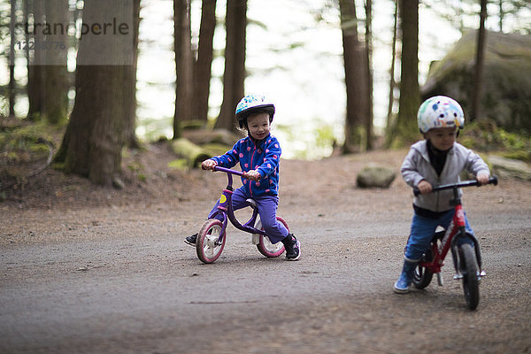 Kleinkinder auf Kinderfahrrädern auf einer Straße im Wald  Harrison Hot Springs  British Columbia  Kanada