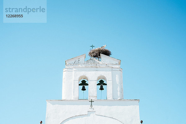 Storchennest auf dem Glockenturm einer Kirche  Ruta de los Pueblos Blancos  Andalusien  Spanien