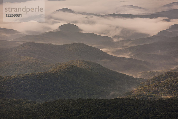 Luftaufnahme von bewaldeten Hügeln und dem in Morgennebel gehüllten Grandfather Mountain  Linville  North Carolina  USA