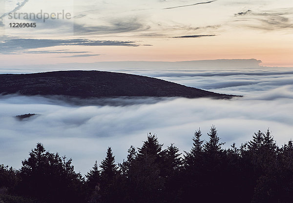 Cadillac Mountain Gipfel über den Wolken  Acadia National Park  Maine  USA