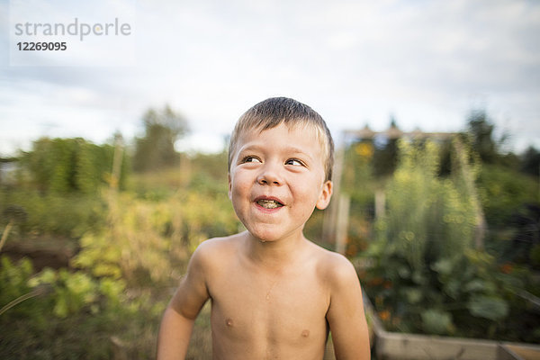 Junge probiert Obst aus dem Garten  Langley  British Columbia  Kanada