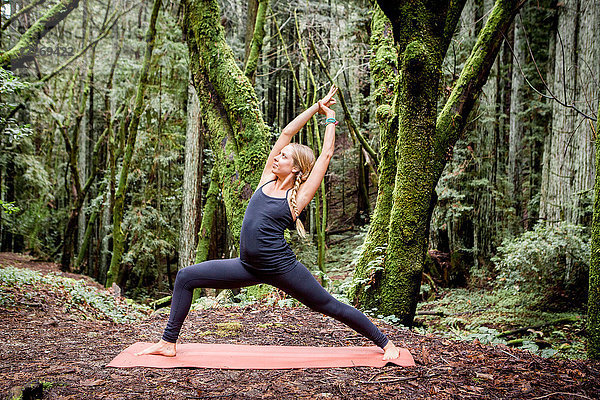 Junge Frau  die im Wald eine Krieger-Yoga-Pose einnimmt