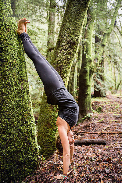 Junge Frau praktiziert Yoga im Wald  macht Handstand gegen Baumstamm