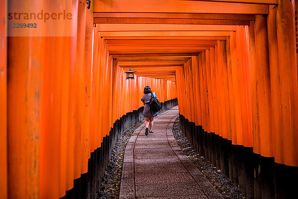 Frau zu Fuss am Torii-Tor  Fushimi-Inari-Schrein  Kyoto  Japan