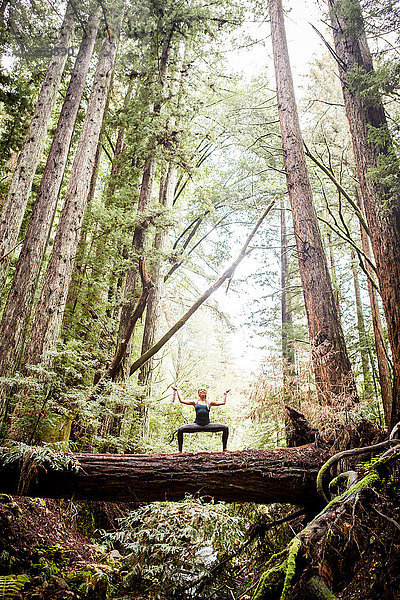 Junge Frau  die Yoga-Pose auf einem Baumstamm im Wald praktiziert  Blick aus niedrigem Winkel