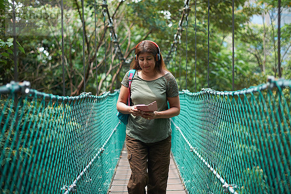 Tourist auf der Brücke  KL Forest Eco Park  Kuala Lumpur  Malaysia