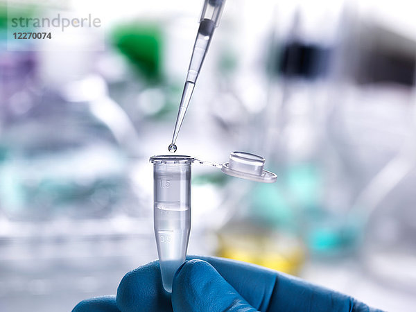 Wissenschaftler pipettiert Probe in Fläschchen für Laborexperiment