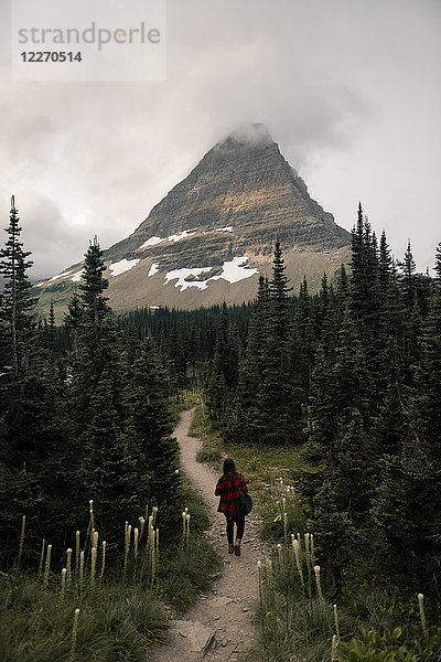 Frau im Glacier National Park  Montana  USA