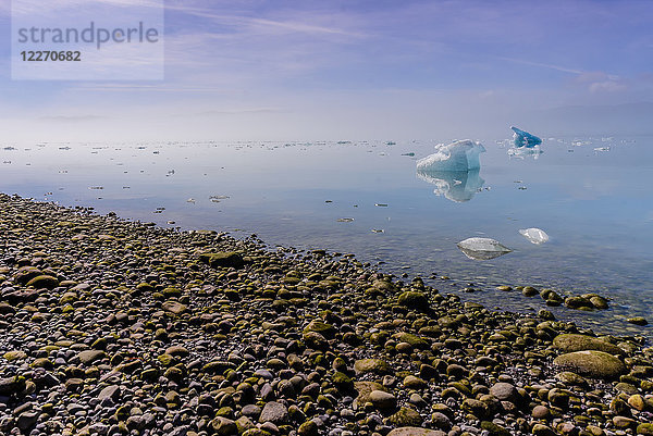 Kleine Eisberge im Meer  Narsaq  Vestgronland  Grönland