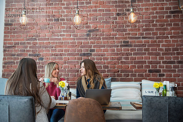 Freundinnen  die im Café sitzen  Kaffee trinken  einen Laptop benutzen
