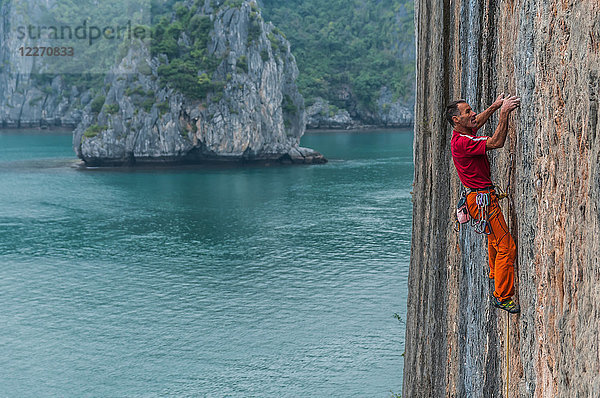 Mann klettert auf Kalksteinfelsen  Ha Long Bay  Vietnam